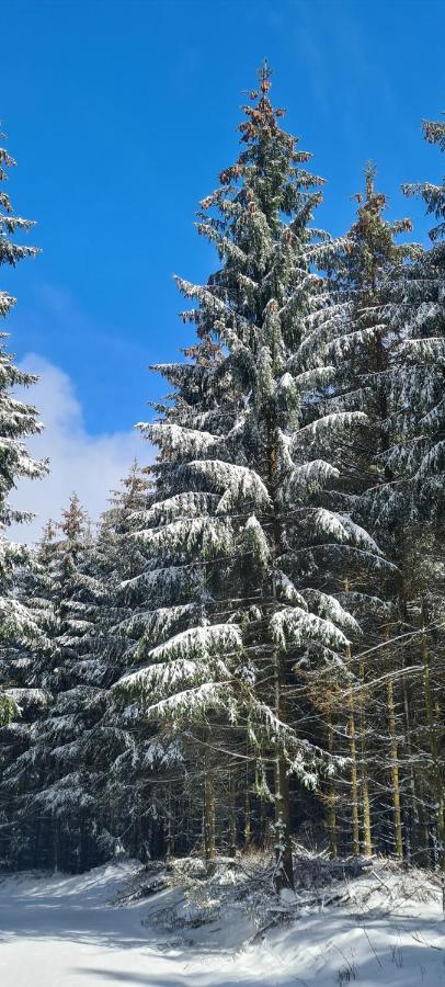 Fewo Am Premium Wanderort Διαμέρισμα Bad Berleburg Εξωτερικό φωτογραφία